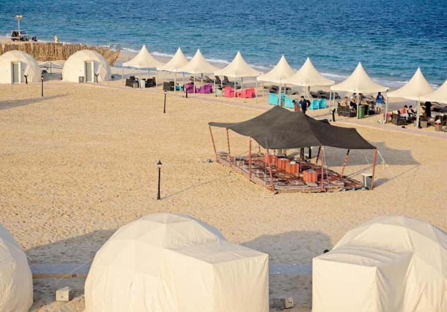 Full day desert safari with lunch or Dinner - Sealine Beach Resort: camel ride and a first taste of the sand