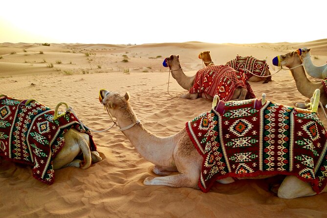 Full-Day DesertSafari with Camel Ride,InlandSea & BBQ Desert Camp - Is $240 per person good value?