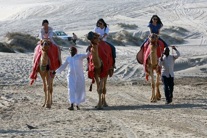 Full-day Qatar desert safari: dune bashing, sandboarding, camels - The singing dunes and the strange sound of moving sand