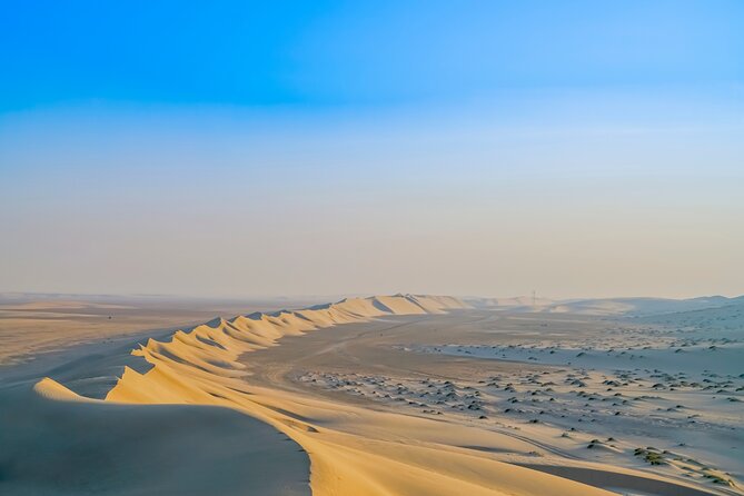Full-day Qatar desert safari: dune bashing, sandboarding, camels - Dune bashing across Qatar’s golden sand