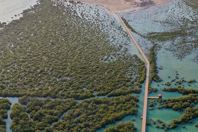 Full Day Qatar North and City Tour with Pickup From Doha - Purple Island and Al Thakira’s mangroves