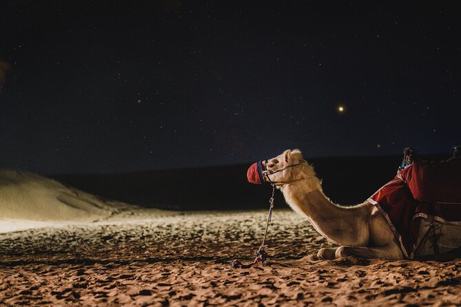 Full Day Qatar North and Desert Safari with pickup - Khor Al Udaid, Qatar’s Inland Sea
