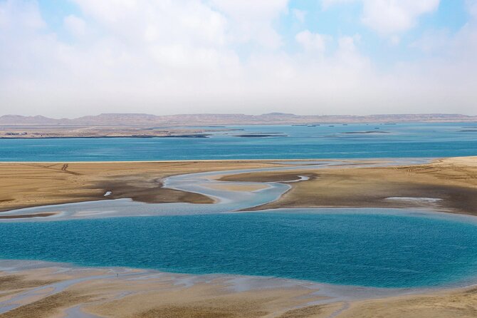 Full Day Qatar North and Desert Safari with pickup - Al Thakhira mangroves: a calm first stop