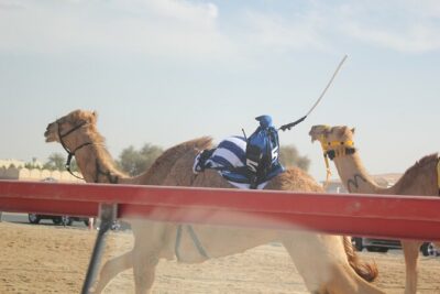 Full-Day Tour Qatar North And West