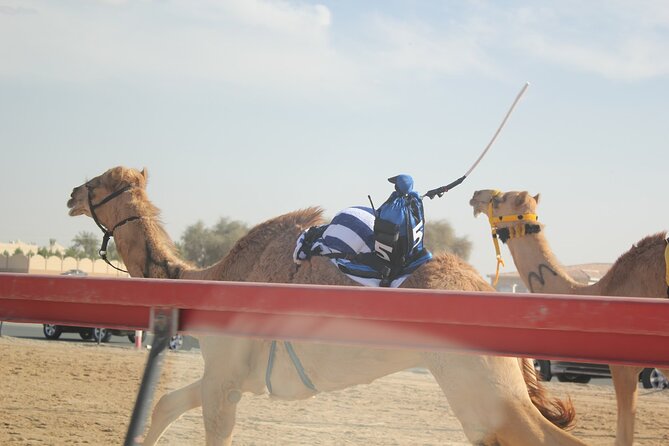 Full-Day Tour Qatar North And West - One Hour at Al Zubara Fort