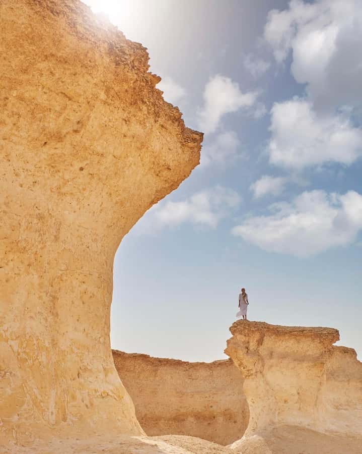 Full Day Tour to Qatar North and West / History and Heritage - Purple Island and Al Thakira bring mangroves into the picture
