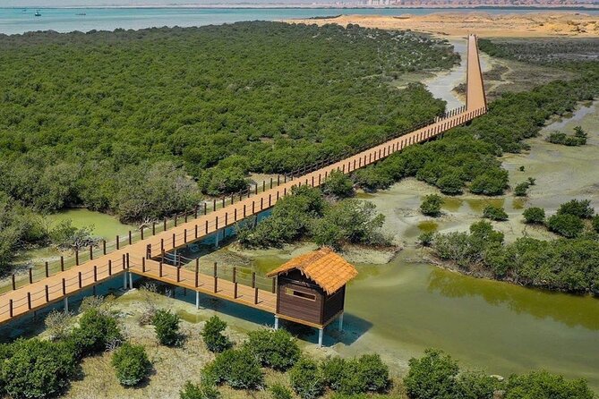 Full Day Tour to Qatar North And West With Pickup From Doha - Al Zubara Fort: the historical heart of the day
