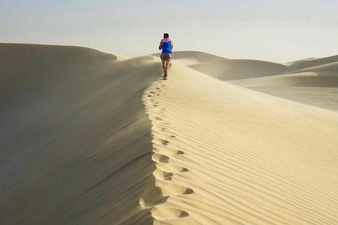 Half Day Desert Safari and Inland Sea - Who will enjoy this safari most
