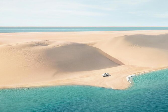 Half Day Desert Safari and Inland Sea - Dune bashing across Qatar’s sand