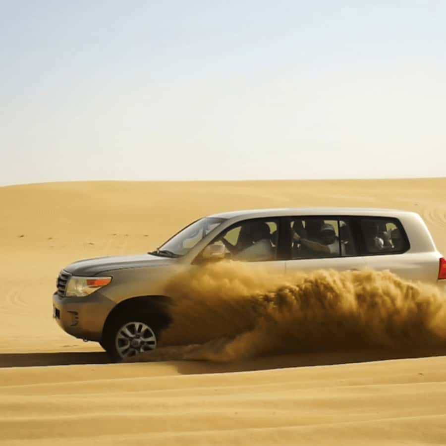 Half-Day Desert Safari For Cruise Ships Passngers. - Key Things to Know Before You Go
