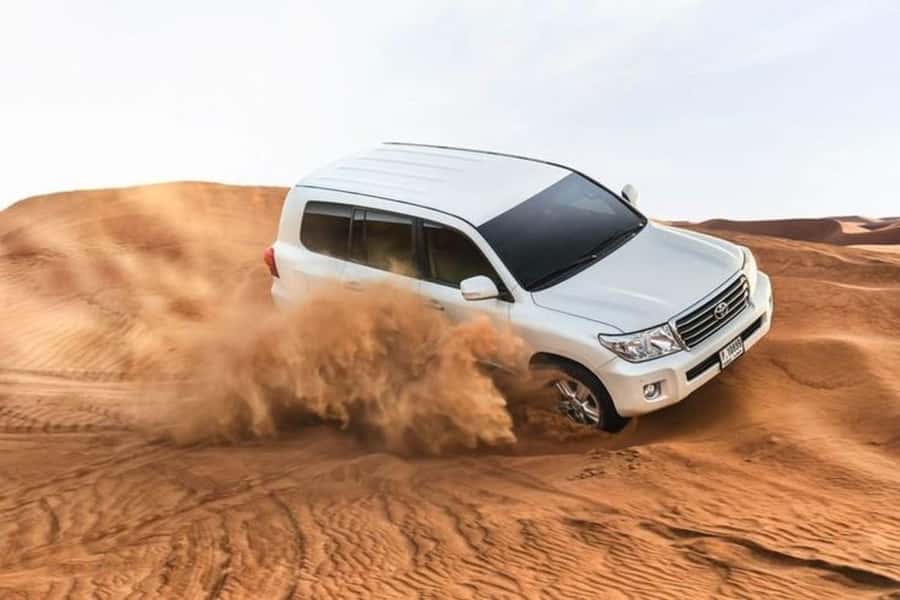 Half-Day Desert Safari For Cruise Ships Passngers. - Why This Works Well From a Cruise Ship