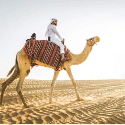 Half-Day Desert Safari For Cruise Ships Passngers.