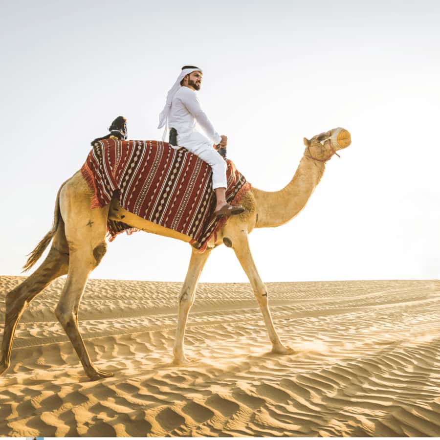 Half-Day Desert Safari For Cruise Ships Passngers. - Leaving Doha and Crossing Into Open Desert