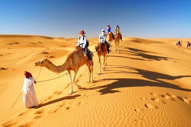 Half Day Desert Safari with Sand Boarding and Camel Ride - Sand boarding on the dunes