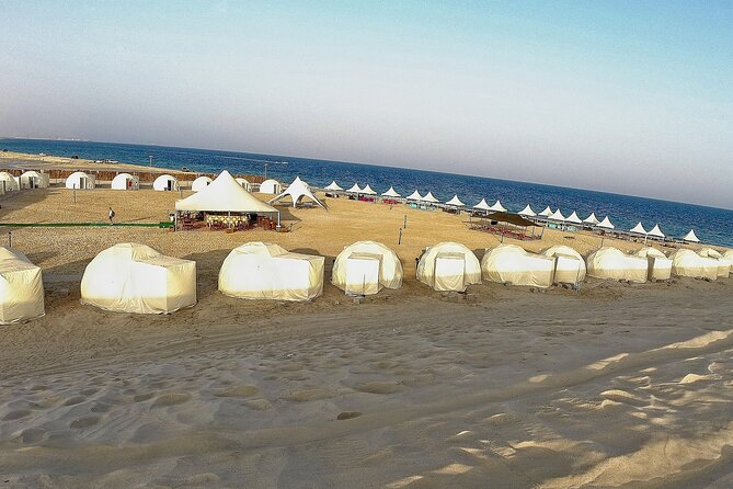 Half Day Desert Tour with Camel Ride - Key points to know before booking