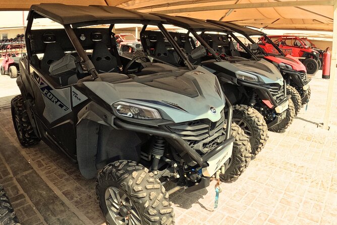 Half Day Night and Morning Desert Safari Camel and Sand Boarding - Who will get the most from this safari