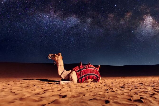Half Day Night and Morning Desert Safari Camel and Sand Boarding - Dune bashing and sand boarding: the energetic middle
