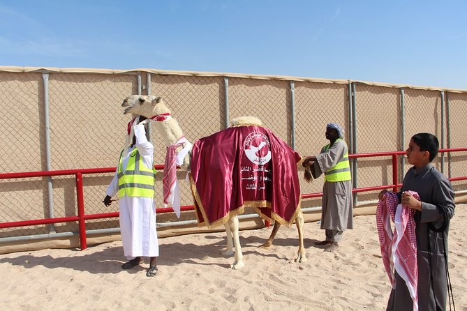 Half-Day Private Guided Camel Race Tour in Qatar - What guides add to the experience