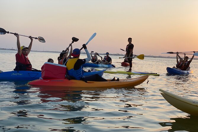 Kayak Through the Mangroves to the Purple Island - Ninety minutes among Qatar’s mangroves