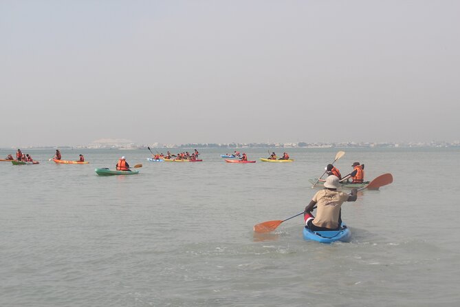Mangrove Kayaking Purple Island Adventure - Is $55 a fair price?