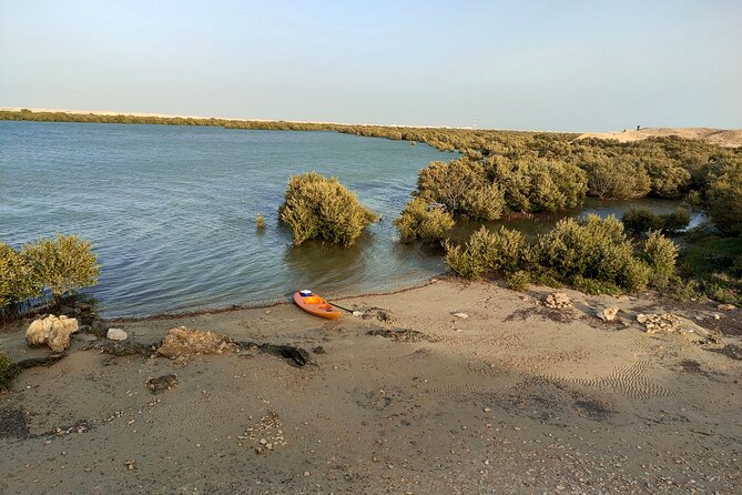 Mangrove Kayaking Purple Island Adventure - How to make the day go well