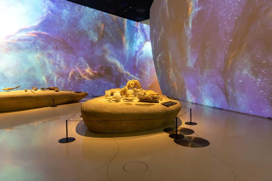 National Museum of Qatar: Admission Ticket - Notable objects, including the Pearl Carpet of Baroda