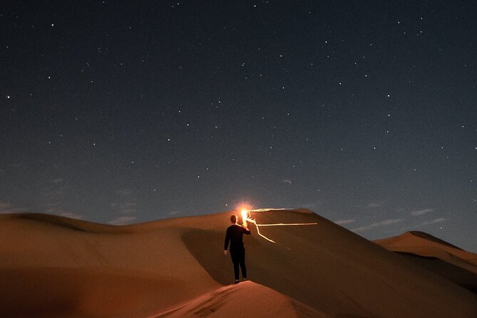 Night Desert Safari, Stargazing, Dune Driving & Inland Sea Visit - Camels, falcons, and the human side of the desert