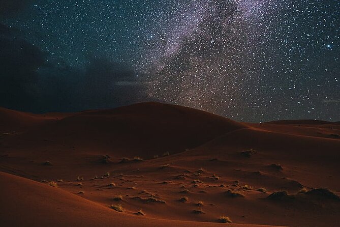 Night Desert Safari, Stargazing, Dune Driving & Inland Sea Visit - Which guide qualities matter most