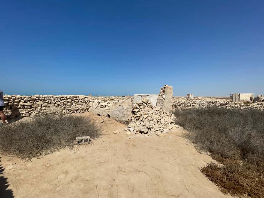 North of Qatar: Olafur Eliasson Exibit, Zubara fort & jumail - Who should book this experience?