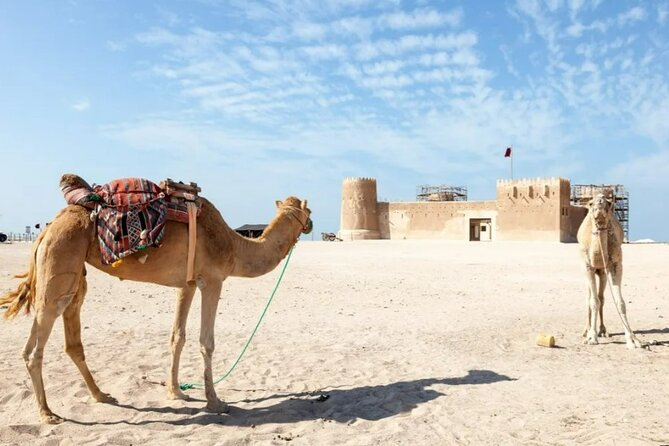 North of Qatar Tour to Olafur Eliasson,Zubara Fort,Jumail Village - What $69.99 buys you
