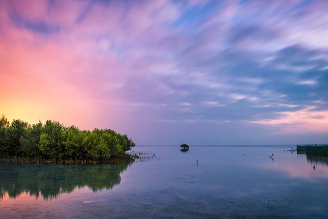 North of Qatar Tour, Zubara Fort, Mangroves, Jumail Village - Is $65 a Fair Price?