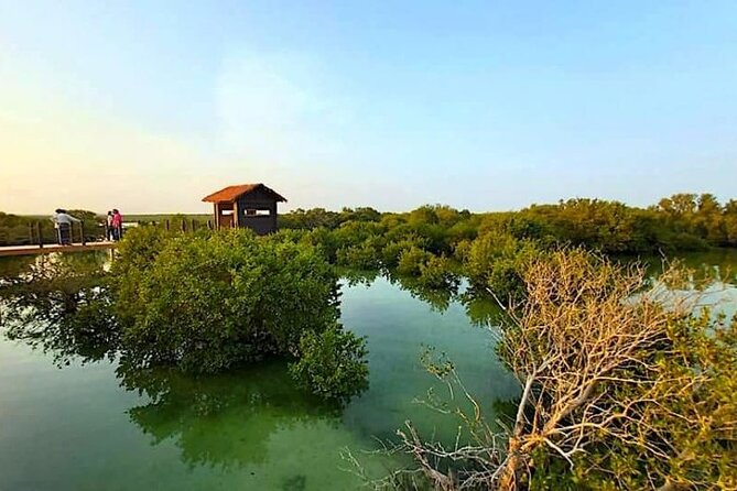 North of Qatar Tour|Zubara Fort, Purple Island & Mangroves Colony - Al Thakhira mangroves and Qatar’s birdlife