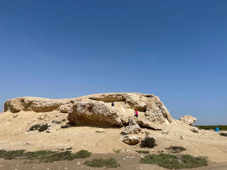 North Qatar Discovery: Culture, Nature & History in 4 Hours - Leaving Doha in a 4x4