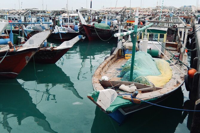North Qatar Guided Expedition to Nature Charms - Key reasons to consider this North Qatar tour