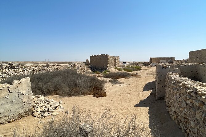 North Qatar Guided Expedition to Nature Charms - What the four-hour route really offers