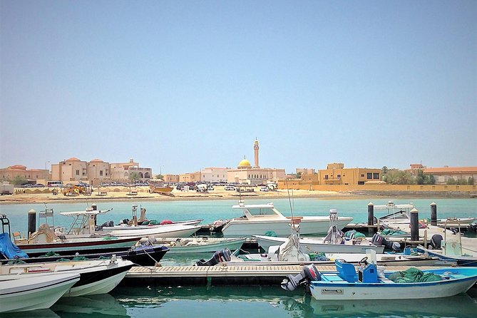 North Qatar Half-Day Tour: Al Zubarah, Purple Island & Mangroves - Purple Island and the Al Khor mangroves