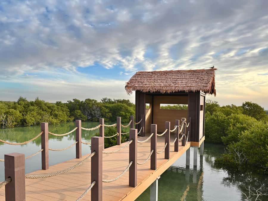 North Qatar: history and nature in a unique tourist trip - Al Thakira Mangroves, Qatar’s quiet natural pause