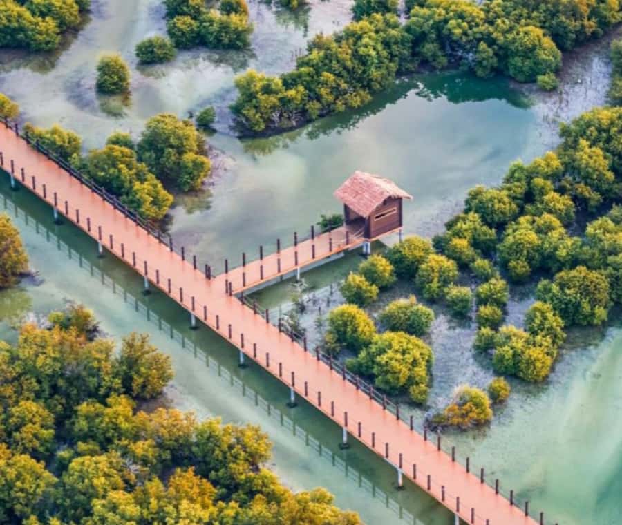 North Qatar: history and nature in a unique tourist trip - Al Zubarah Fort and the UNESCO site