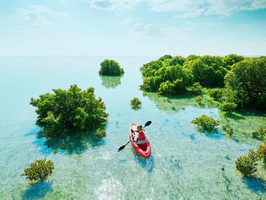 North Qatar: history and nature in a unique tourist trip - The return drive and the value of four hours