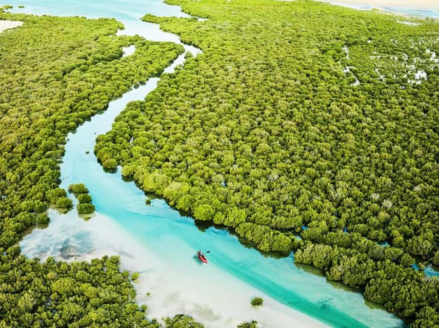 North Qatar: history and nature in a unique tourist trip - Practical tips for getting more from the trip