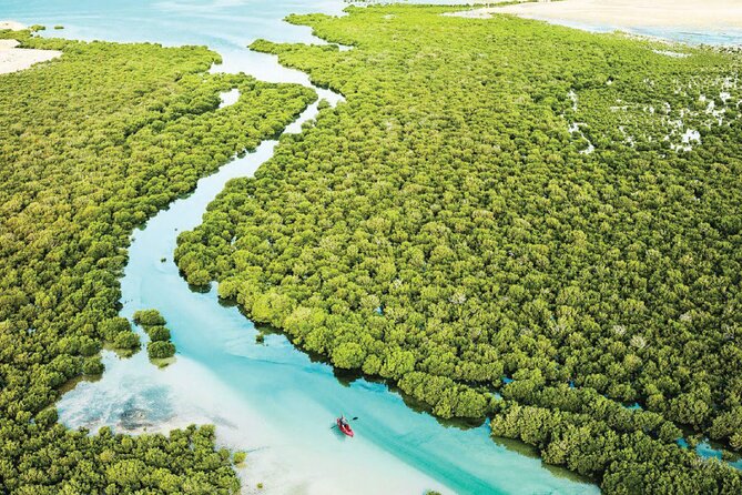 North Qatar Tour | Zubara Fort | Purple Island | Mangros Colony - Purple Island and Al Thakhira’s mangroves