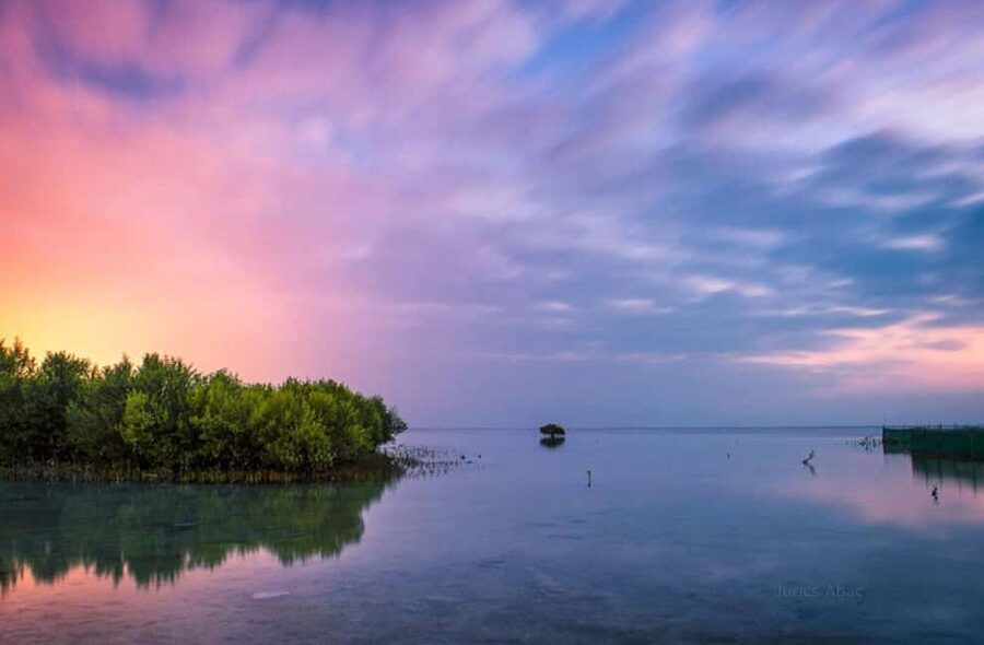 North Qatar: Zubara Fort, Jumail Village, Thakhira Mangroves - Why North Qatar is worth your time