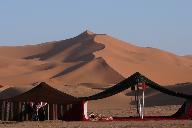 Premium Full-Day Safari, Dune Bash, Camel Ride and BBQ Meal in Desert Camp - Quick points before you book