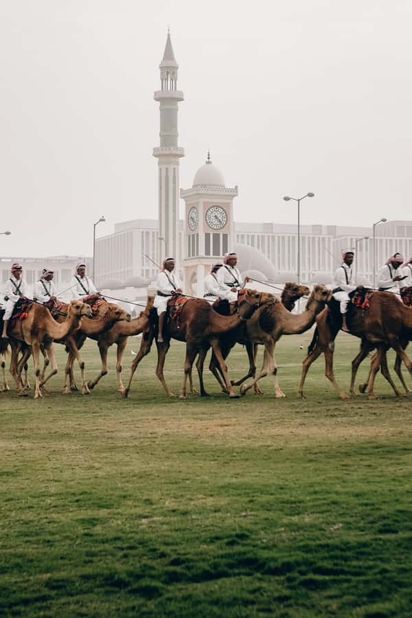 Private City Tour/Pearl Qatar/Souq Waqif & Katara Village - The Pearl-Qatar and Doha’s modern face