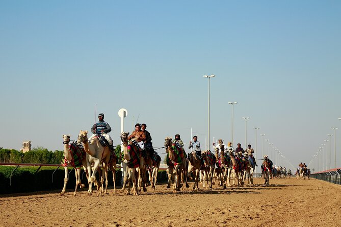 Private Combo North and West of Qatar Tour 8hours - Zekreet’s Mushroom Rock Formation