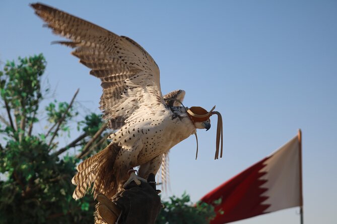 Private Desert Safari Tour 4 hours - Why this four-hour desert trip works