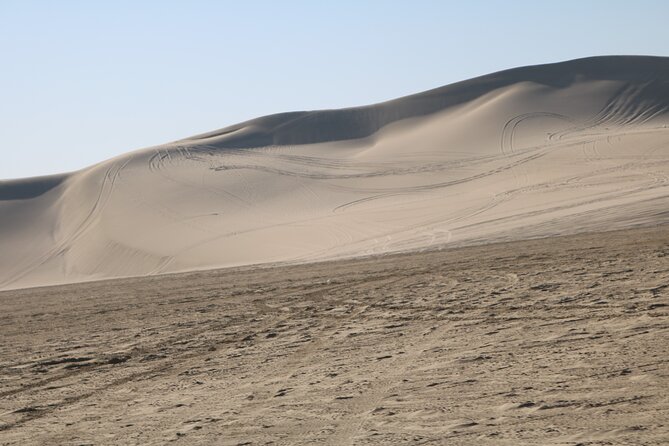 Private Desert Safari Tour 4 hours - Sandboarding on the golden dunes