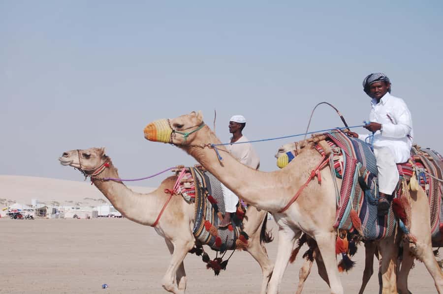 Private Desert Safari with Inland Sea visit - Key Points Before You Book