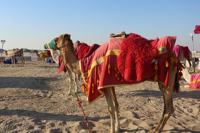 Private Dunes Bashing | Desert Safari | Sand Boarding - What makes this Doha desert trip worth considering