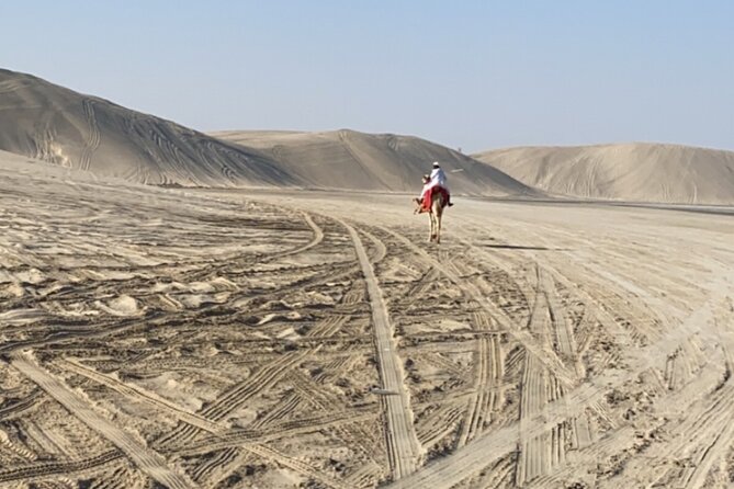 Private Dunes Bashing | Desert Safari | Sand Boarding - The camel camp, falcons, and extra-cost rides